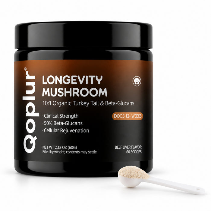 Qoplur Turkey Tail Mushroom Powder for Dogs, 10:1 Fruiting Body Extract & Beta-Glucans, 60 Scoops