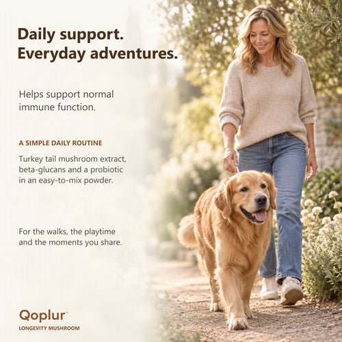 Qoplur Turkey Tail Mushroom Powder for Dogs, 10:1 Fruiting Body Extract & Beta-Glucans, 60 Scoops