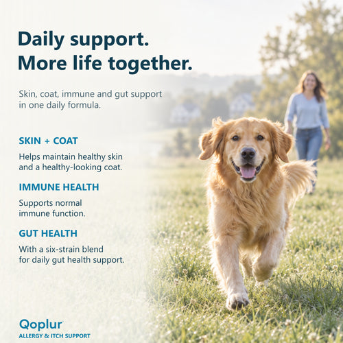Qoplur Allergy & Itch Support Chews for Dogs