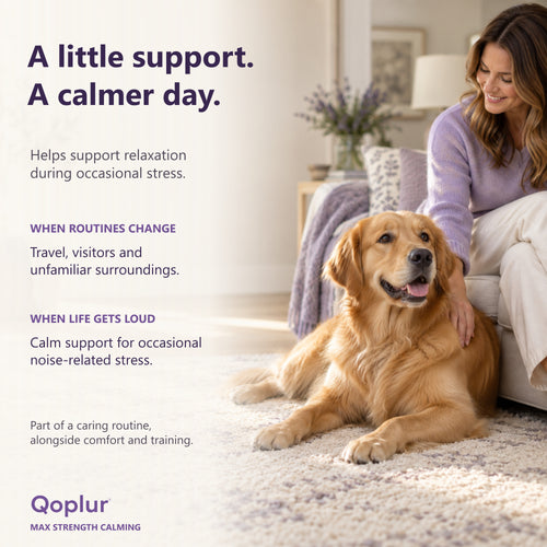 Qoplur Calming Chews for Dogs with L-Theanine, Chamomile & Melatonin, 120 Count