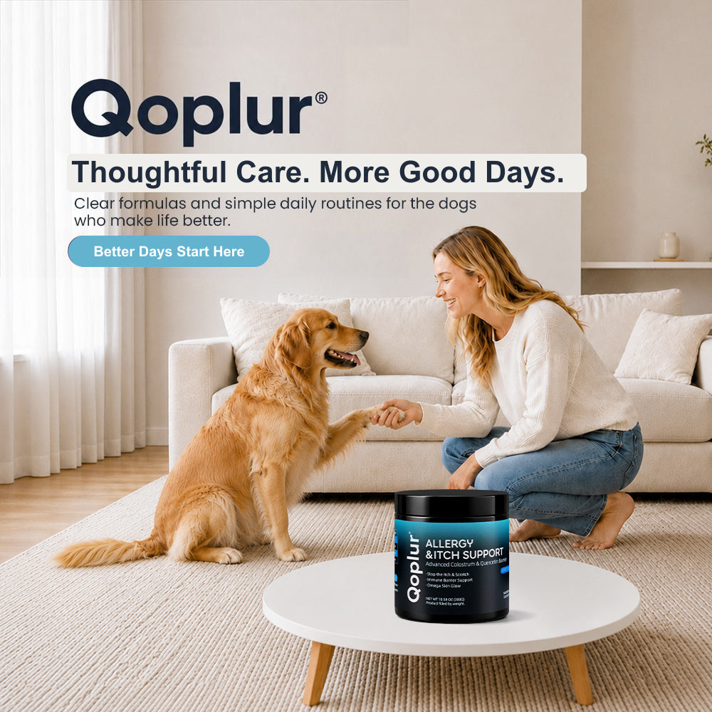 Qoplur Allergy & Itch Support Chews for Dogs