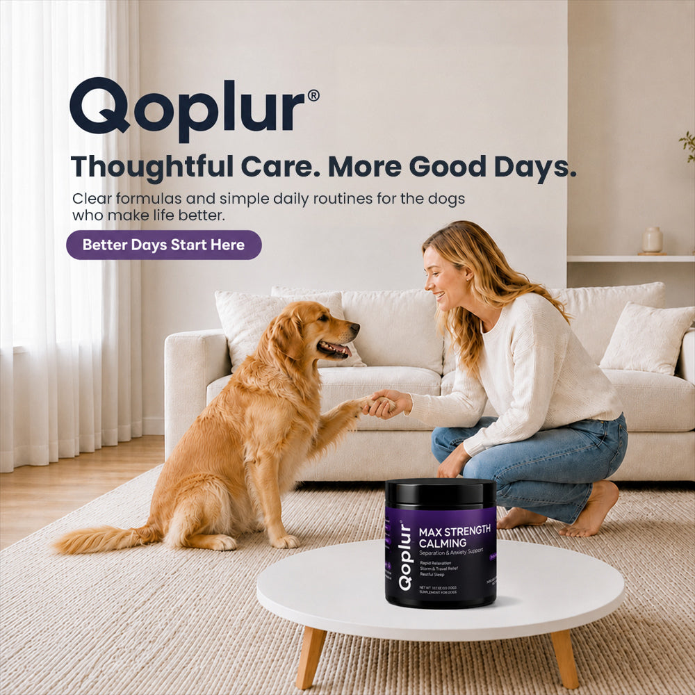 Qoplur Calming Chews for Dogs with L-Theanine, Chamomile & Melatonin, 120 Count