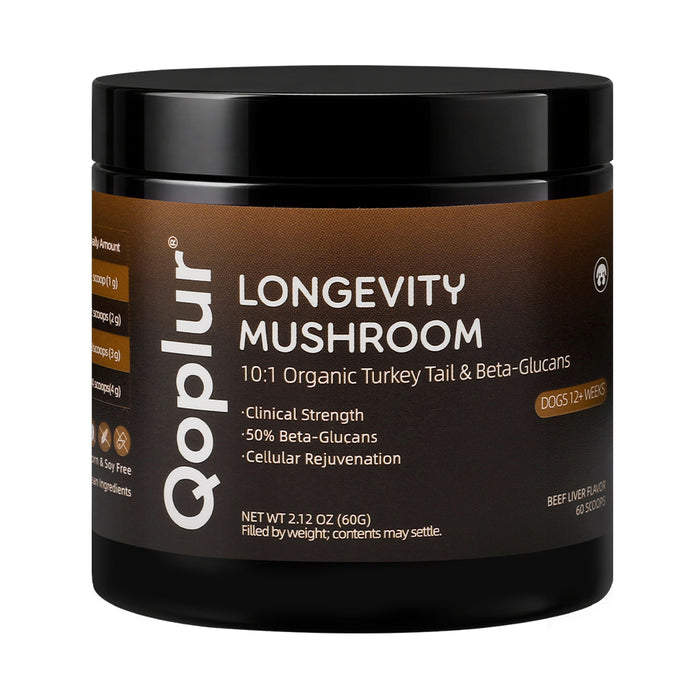 Qoplur Turkey Tail Mushroom Powder for Dogs, 10:1 Fruiting Body Extract & Beta-Glucans, 60 Scoops