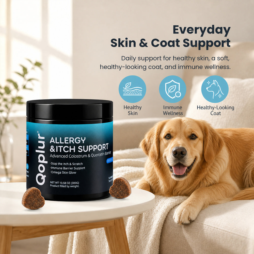 Qoplur Allergy & Itch Support Chews for Dogs