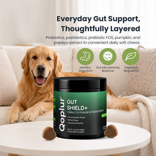 Qoplur Probiotic Chews for Dogs with Prebiotics & Postbiotics, Digestive Support, 120 Count