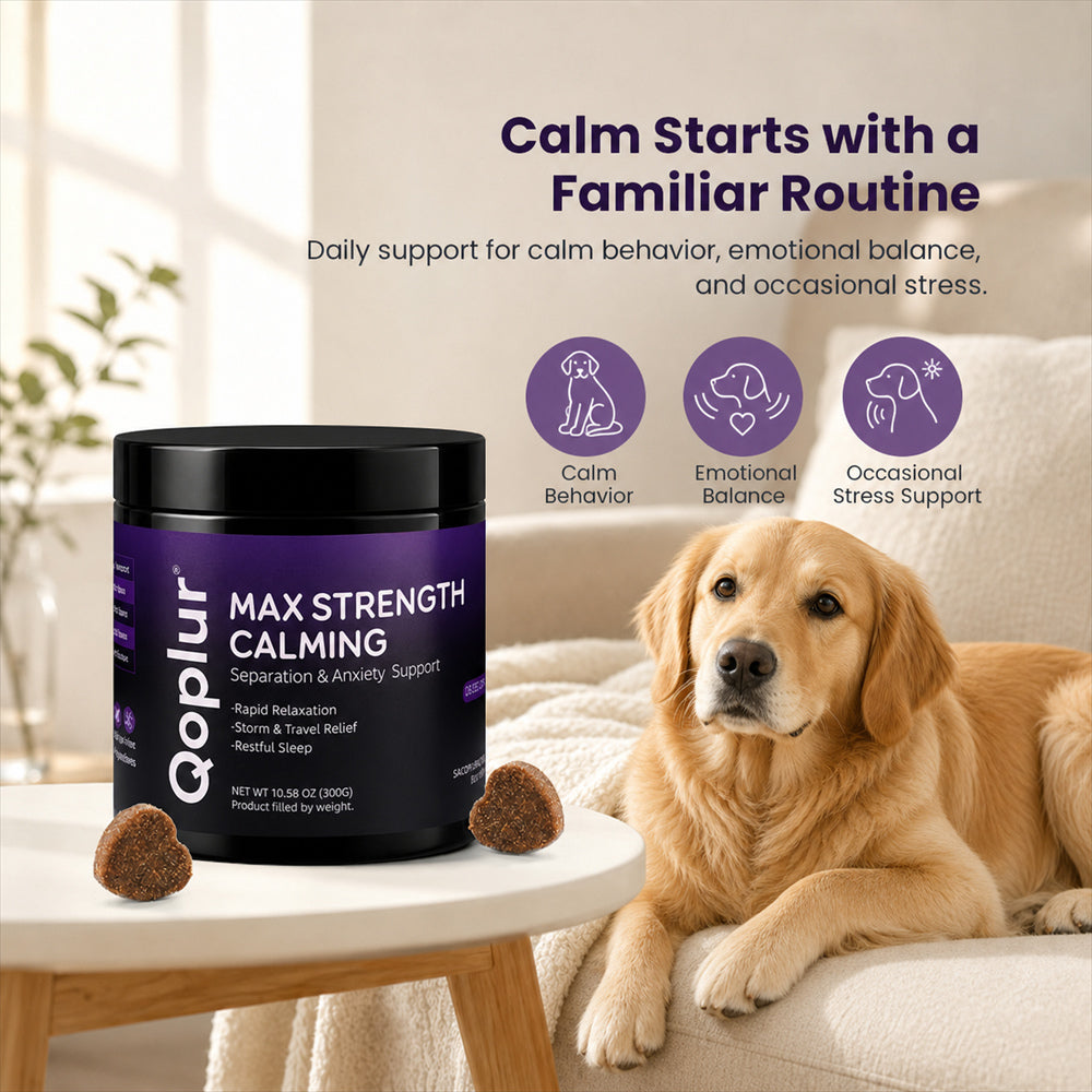 Qoplur Calming Chews for Dogs with L-Theanine, Chamomile & Melatonin, 120 Count