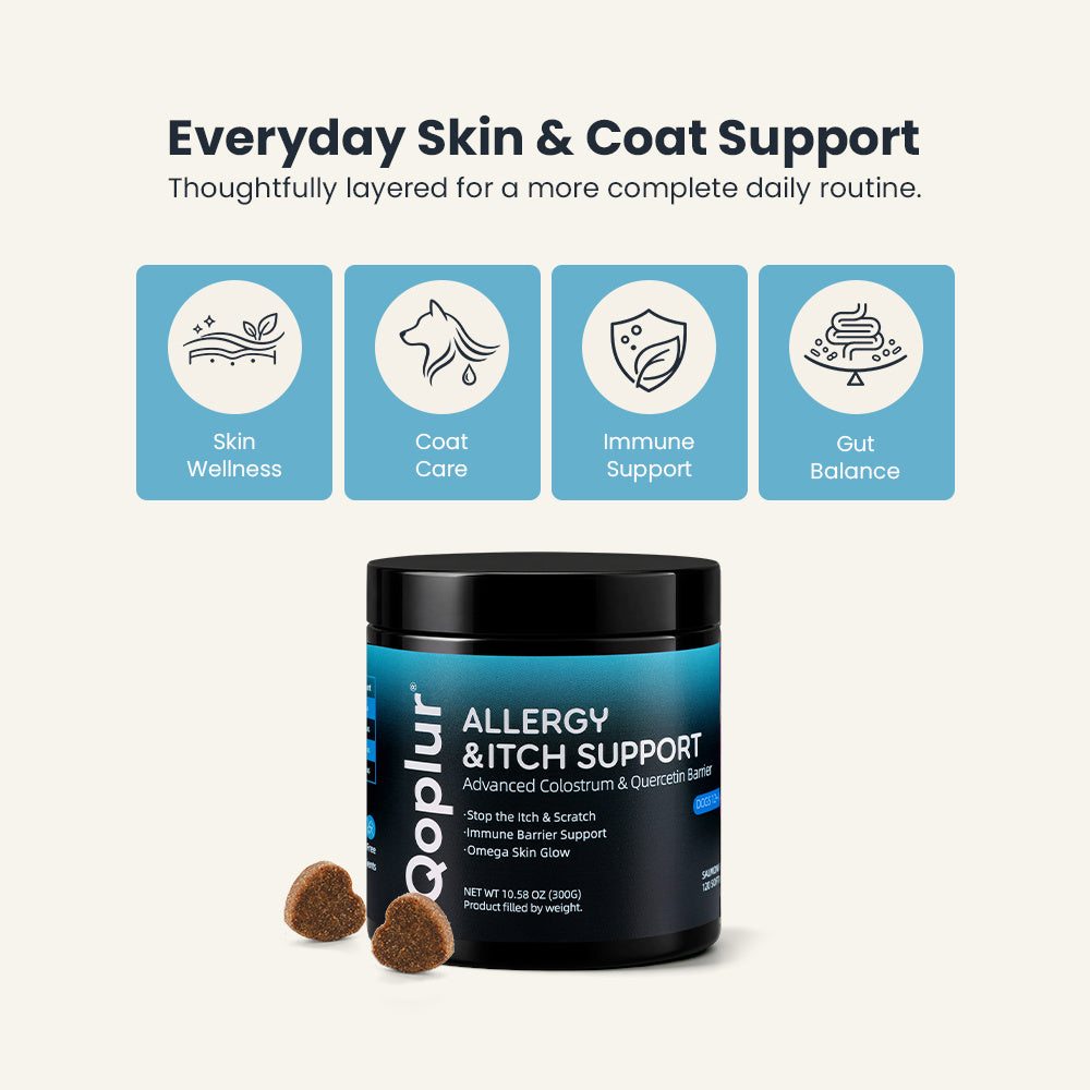 Qoplur Allergy & Itch Support Chews for Dogs