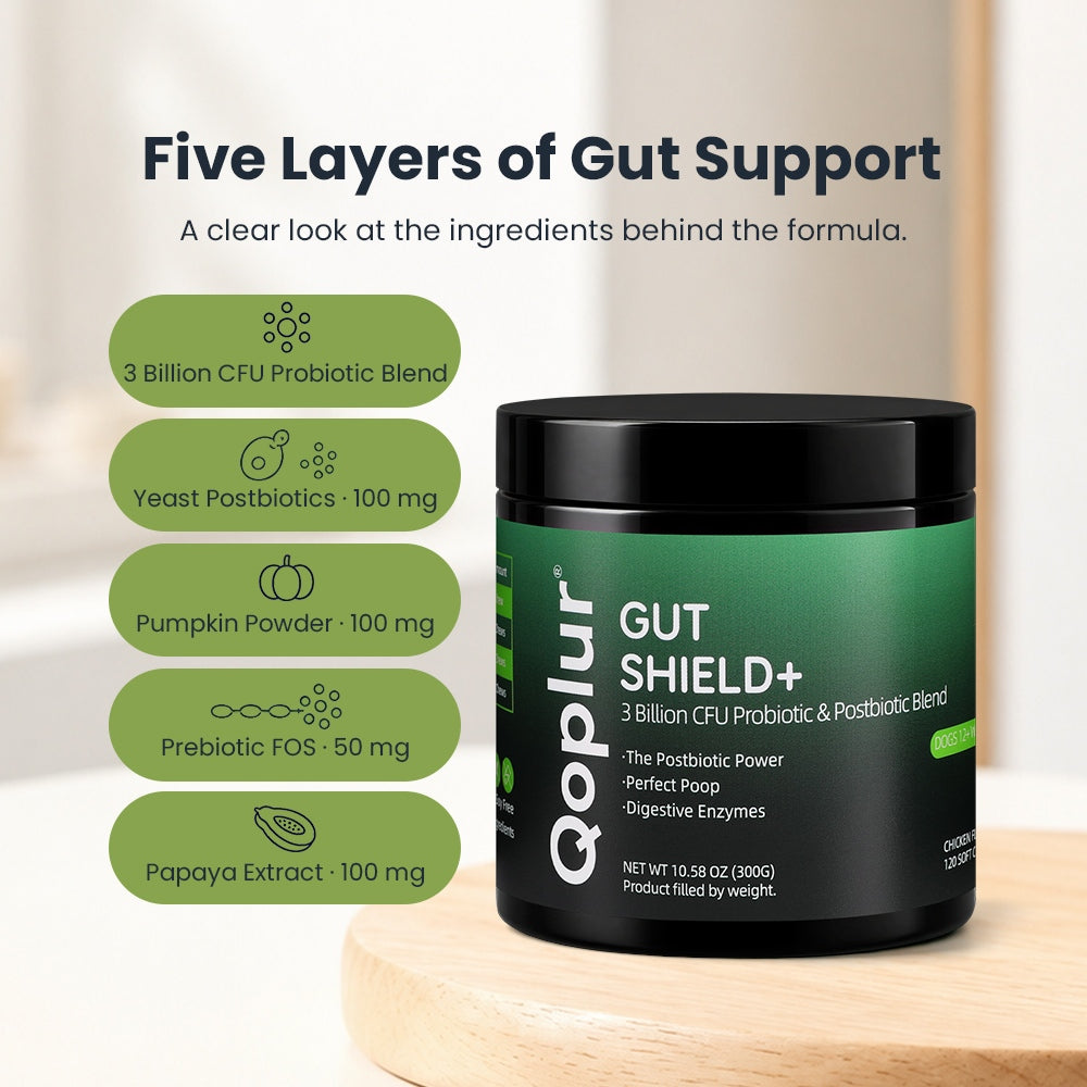 Qoplur Probiotic Chews for Dogs with Prebiotics & Postbiotics, Digestive Support, 120 Count