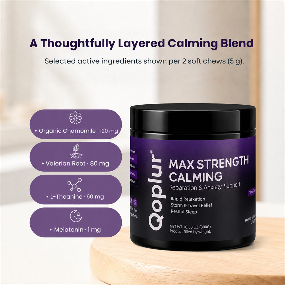 Qoplur Calming Chews for Dogs with L-Theanine, Chamomile & Melatonin, 120 Count