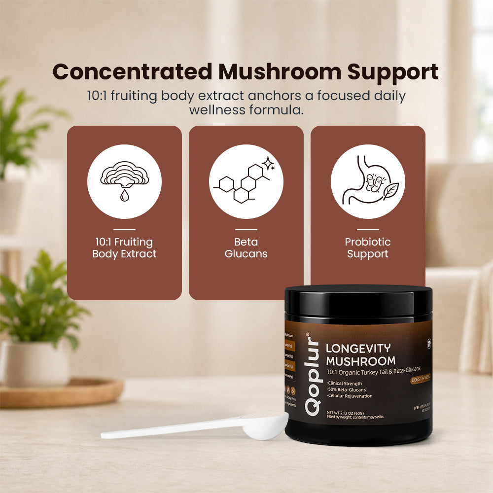 Qoplur Turkey Tail Mushroom Powder for Dogs, 10:1 Fruiting Body Extract & Beta-Glucans, 60 Scoops