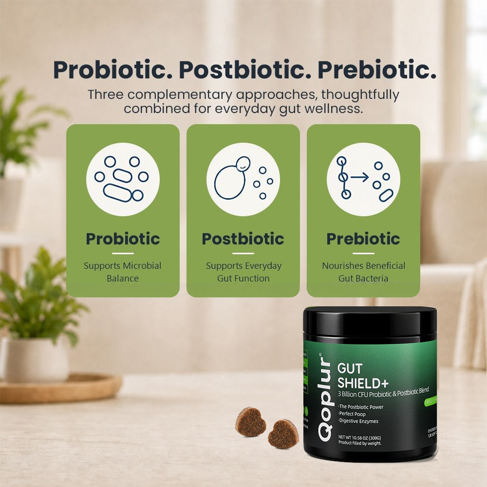 Qoplur Probiotic Chews for Dogs with Prebiotics & Postbiotics, Digestive Support, 120 Count