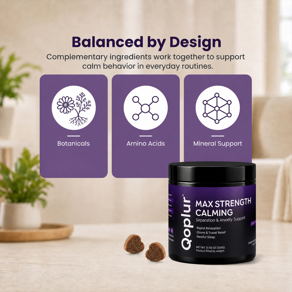 Qoplur Calming Chews for Dogs with L-Theanine, Chamomile & Melatonin, 120 Count