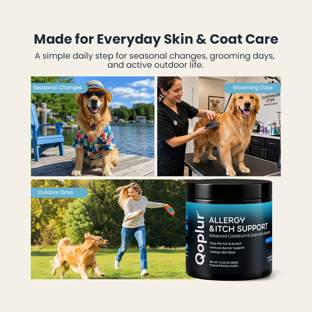 Qoplur Allergy & Itch Support Chews for Dogs