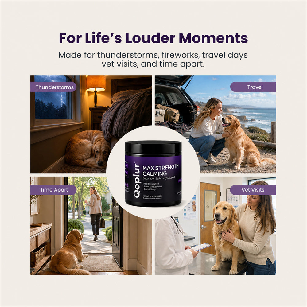 Qoplur Calming Chews for Dogs with L-Theanine, Chamomile & Melatonin, 120 Count