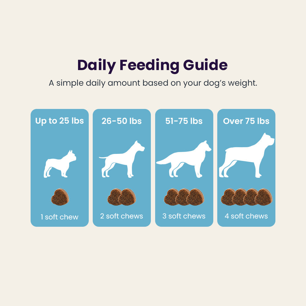 Qoplur Allergy & Itch Support Chews for Dogs