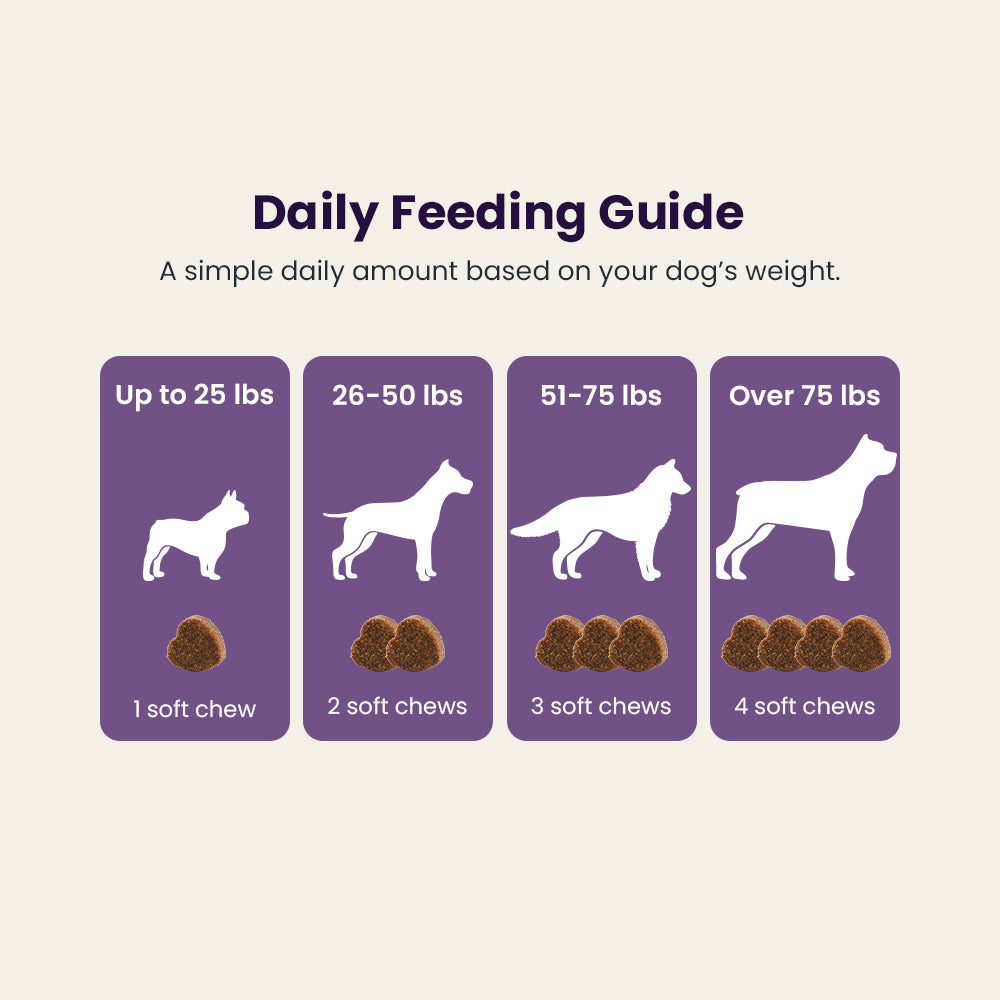 Qoplur Calming Chews for Dogs with L-Theanine, Chamomile & Melatonin, 120 Count