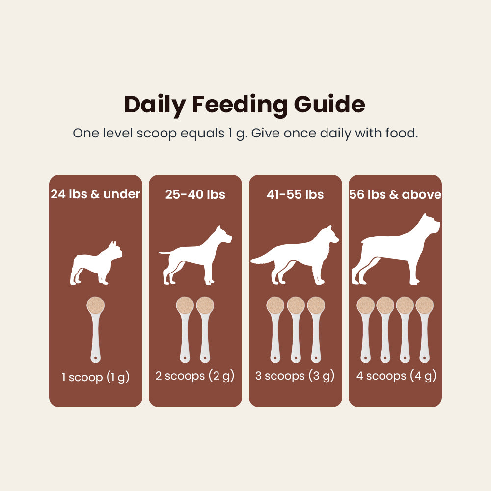 Qoplur Turkey Tail Mushroom Powder for Dogs, 10:1 Fruiting Body Extract & Beta-Glucans, 60 Scoops