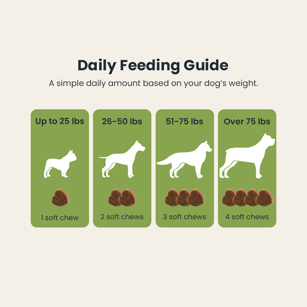 Qoplur Probiotic Chews for Dogs with Prebiotics & Postbiotics, Digestive Support, 120 Count