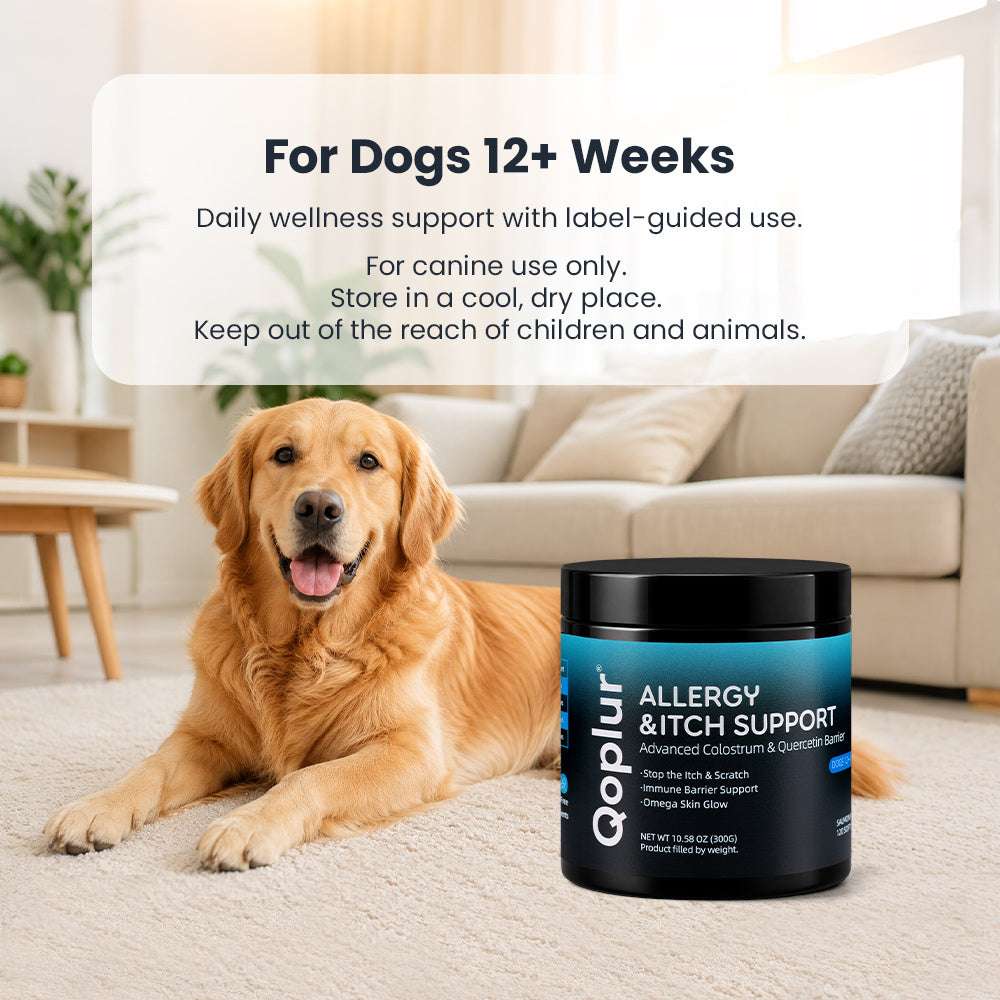 Qoplur Allergy & Itch Support Chews for Dogs